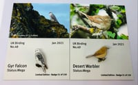 Image 1 of January 2021 UK Birding Pin Releases