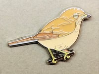 Image 5 of January 2021 UK Birding Pin Releases