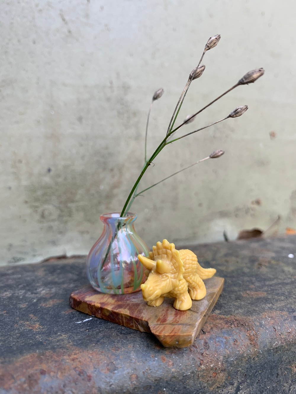 Image of Terp Pearl Dinosaur Stands
