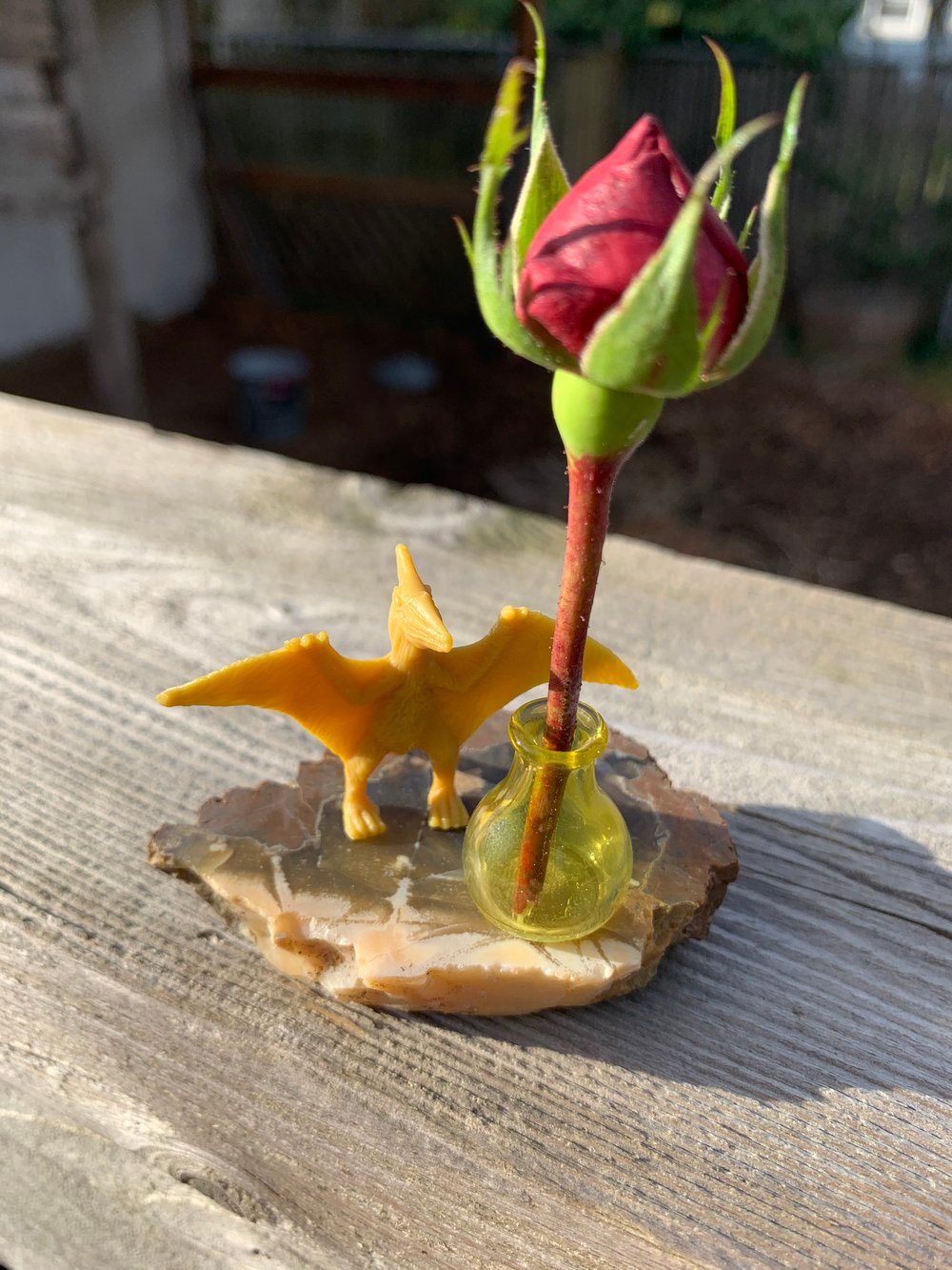 Image of Terp Pearl Dinosaur Stands
