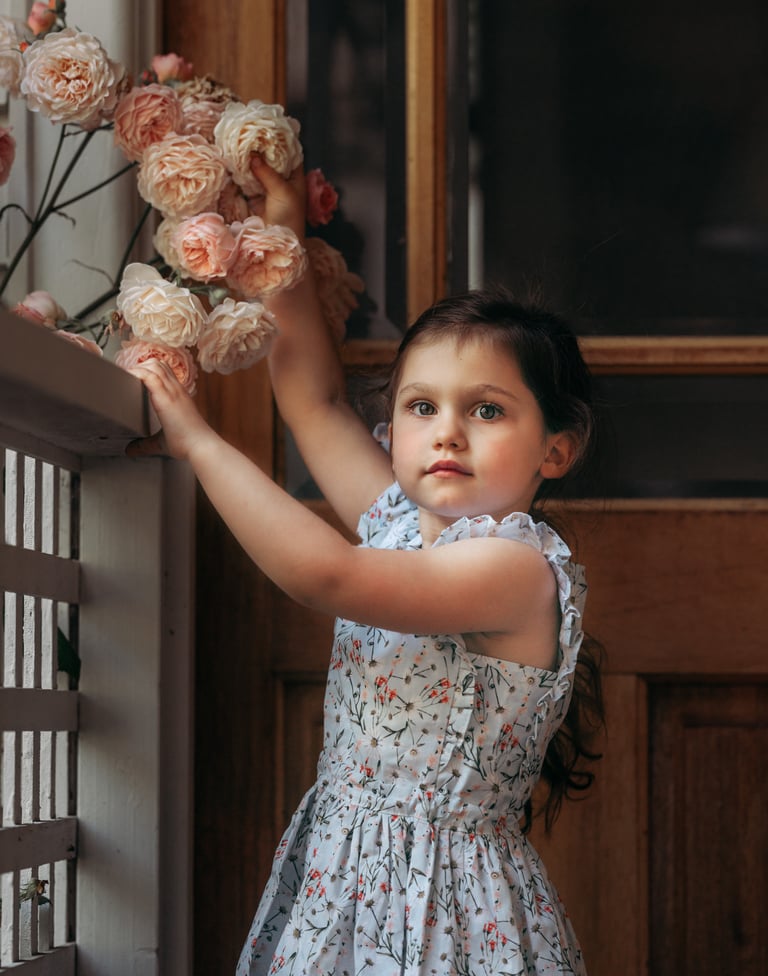 Daisy Dress Image 5