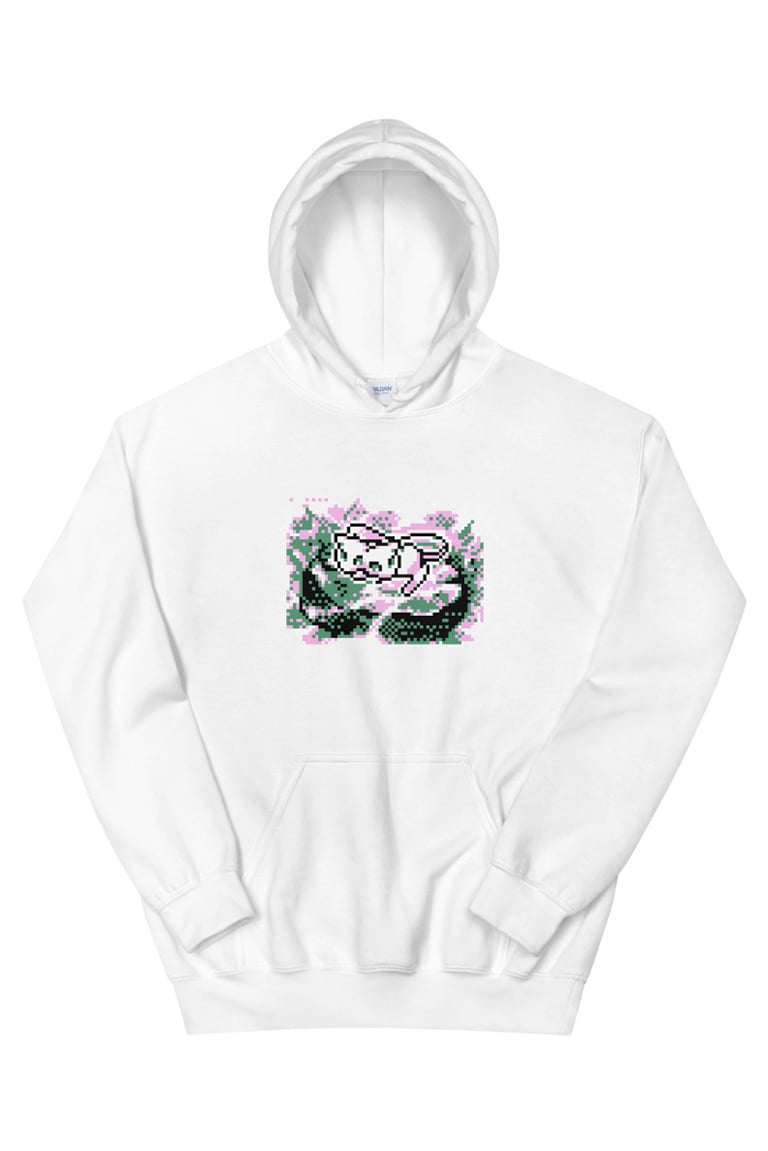Image of †DR3AM3W†® - Hoodie