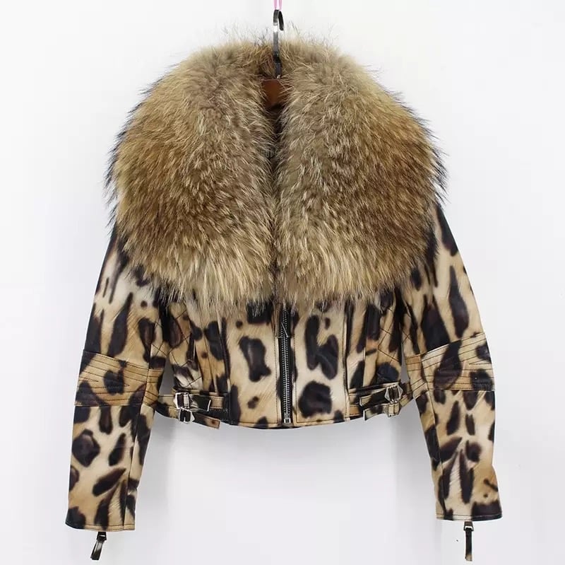Image of HAUTE LEATHER JACKET