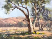 In The Macdonnell Ranges