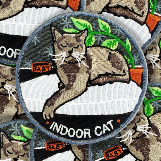 Image of Indoor Cat patch