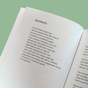 Image of A TRIP TO THE ZZOO by MA|DE