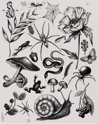 ‘Nature Flash’ Print