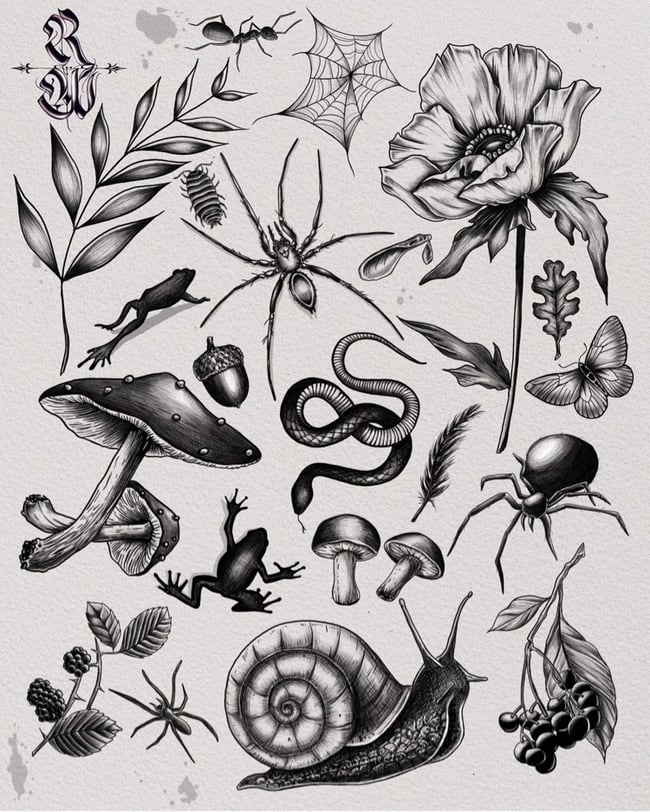 ‘Nature Flash’ Print | Black Cabin Ink