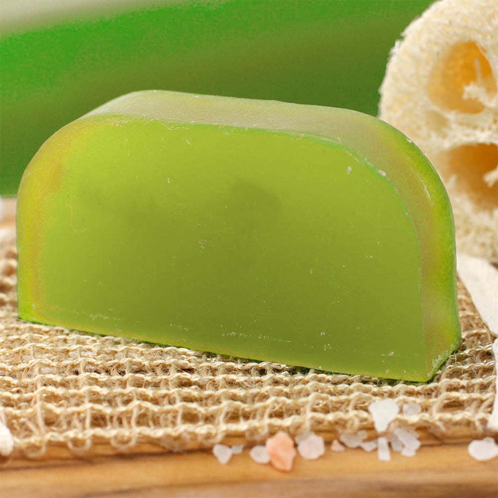 Image of Coconut & Lime Solid Shampoo with Argan Oil 100% Organic (Pack of 2)