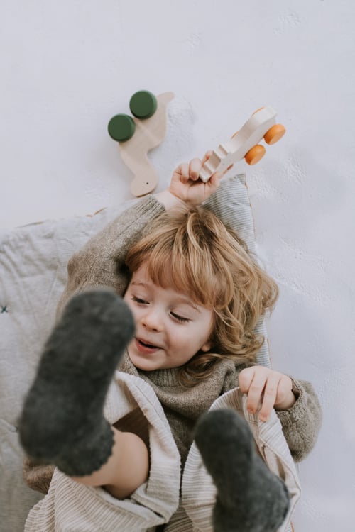 Image of Box Dino + lange en bambou