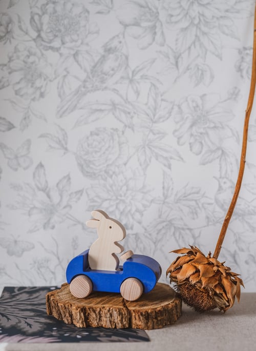 Image of Bunny Car Bleu