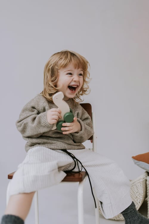 Image of Dinosaure en bois - Nessy