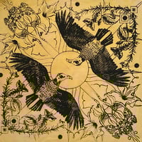 Image 1 of OSAGE