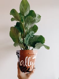 Image 4 of Personalized Hand Painted Planters