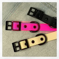 Boss + Boo - Waterproof Collar