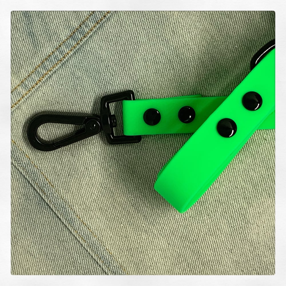 Boss + Boo - Waterproof Lead