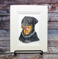 Image 1 of Custom Watercolor Pet Portrait