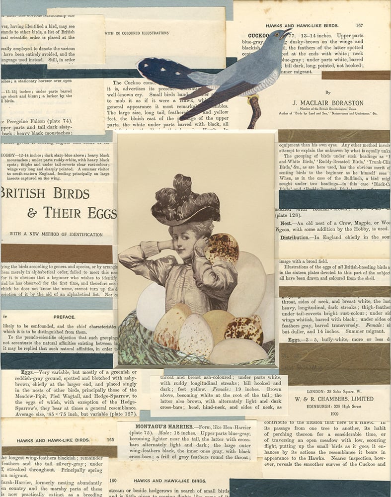Image of Ms. Featherbottom was a bit of a cuckoo. Original collage.