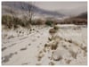 Snowed fields