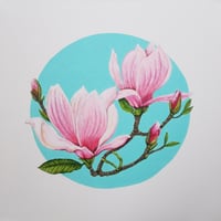 Image 1 of Pink Magnolia