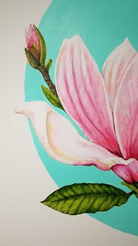 Image 4 of Pink Magnolia