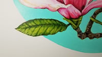 Image 5 of Pink Magnolia