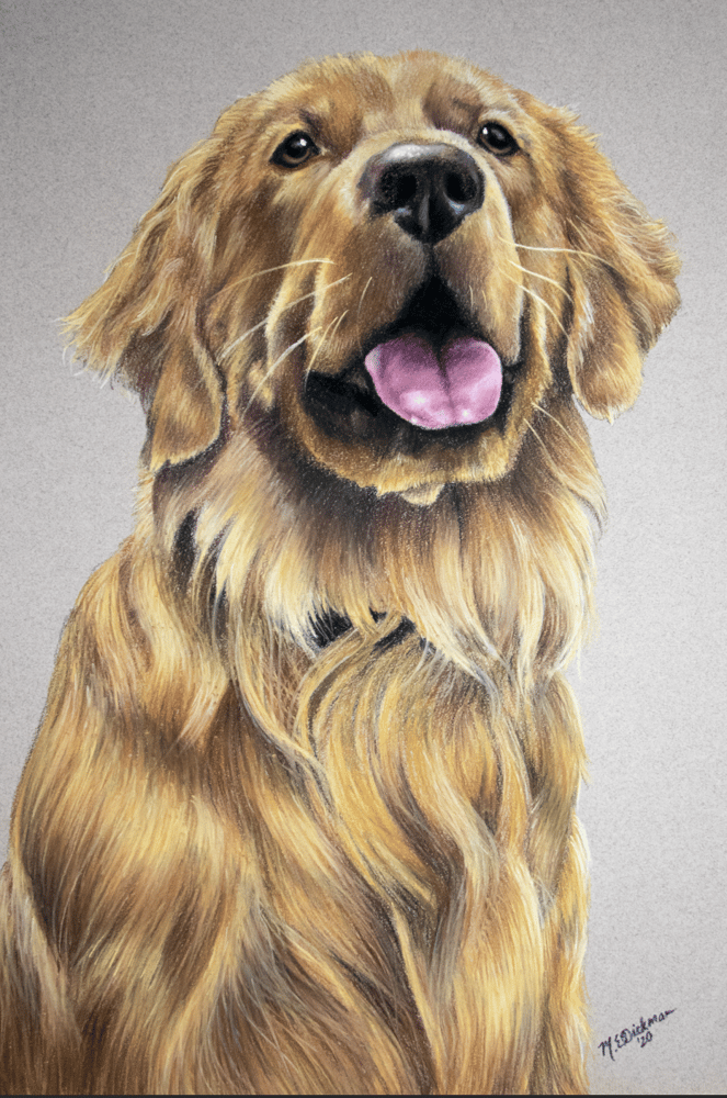 Image of Golden Retriever Print