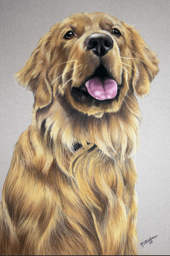 Image of Golden Retriever Print