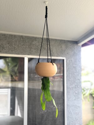 Image of Confetti upside down planter
