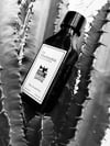 LA FRAGRANZA Wood & Leather (Eau de Parfum) 