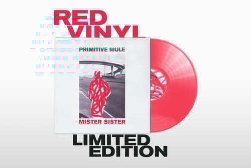 Image of PRIMITIVE MULE - MISTER SISTER