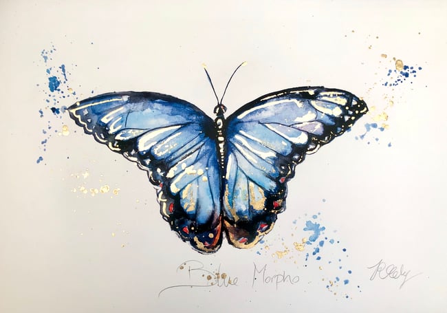 Blue Morpho | Joanna Rose Tidey Art