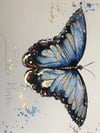 Blue Morpho