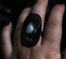 Image 4 of Oh Heartless Man Ring Size US 7