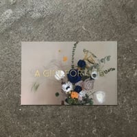 Image 5 of GIFT CARD