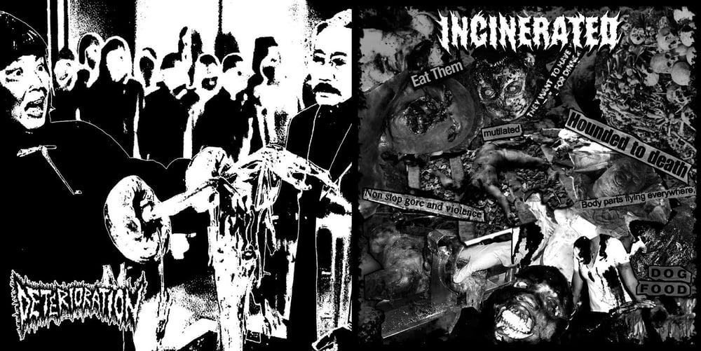 Image of Deterioration / Incinerated - Split 7"