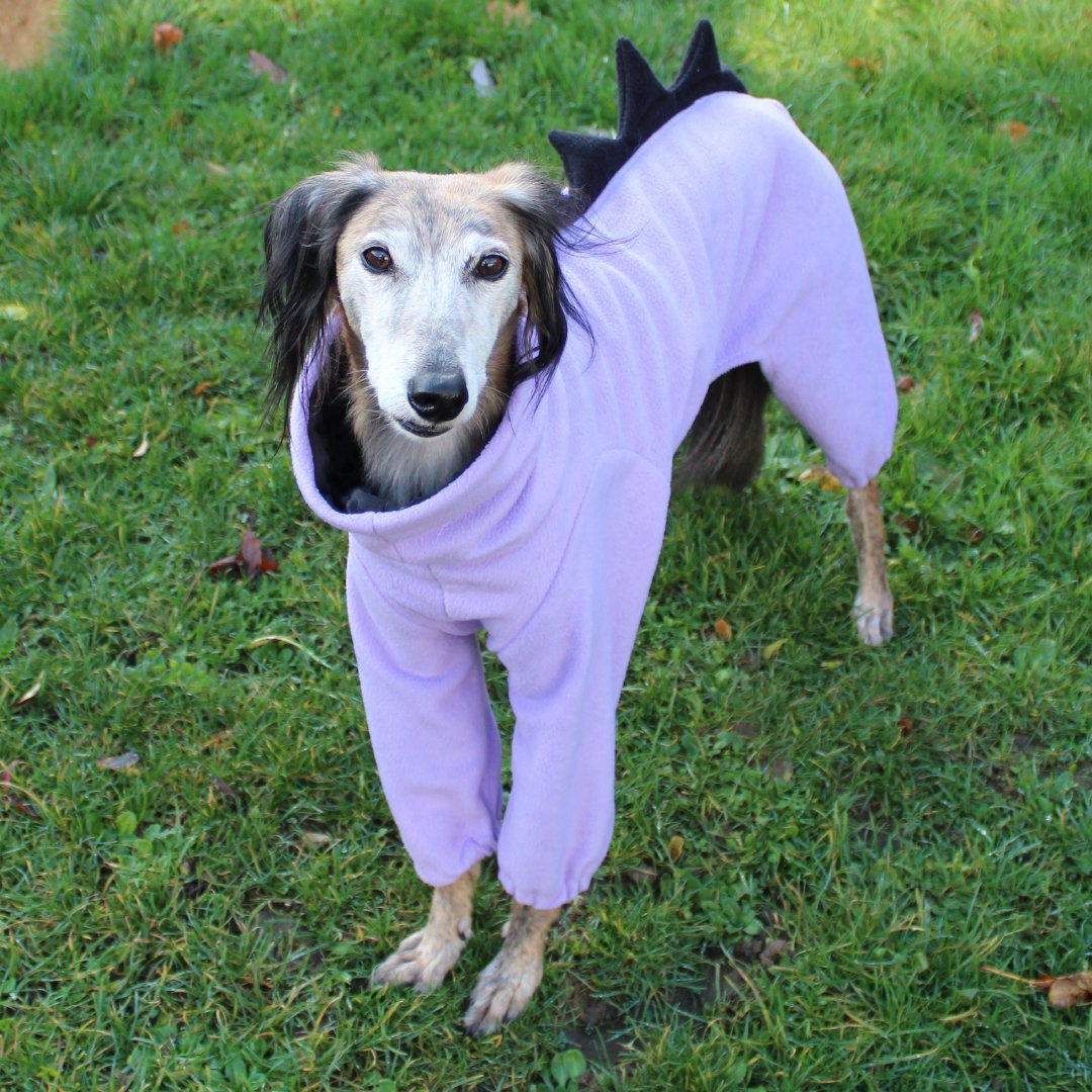 Image of Sighthound dinosaur pyjamas
