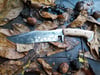 Hagan Recurve Fixed Blade