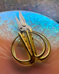 Image 2 of Plant Pruning Shears 