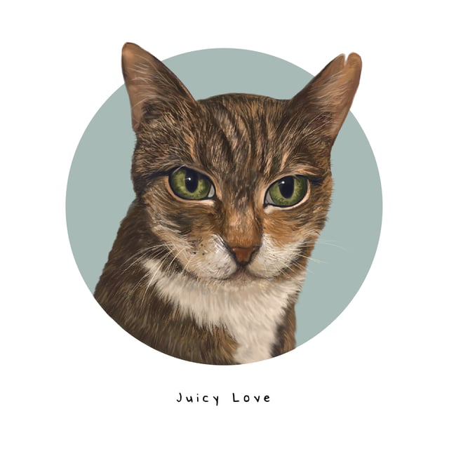 8x8 Custom Cat Painting Illustration Art