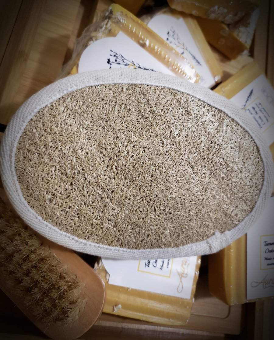 Image of Exfoliating Body Sponge 