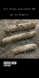 Image 2 of White Sage