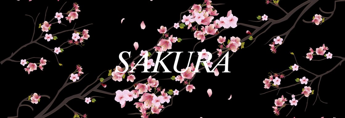 Image of SAKURA Blossom - Box Logo Decals
