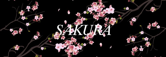 Image of SAKURA Blossom - Box Logo Decals