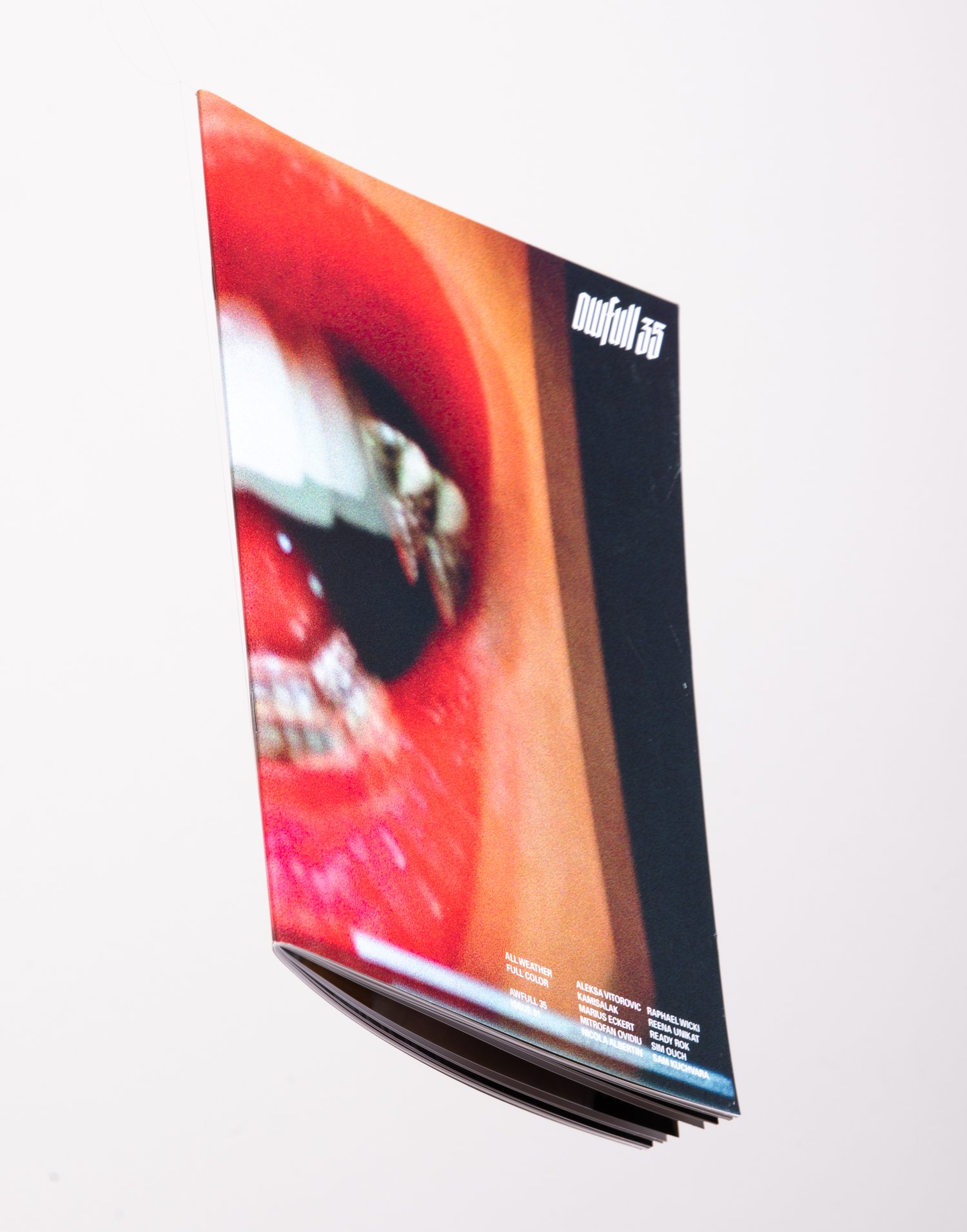 Image of ISSUE 01: Awful