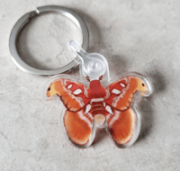 Atlas Moth Keychain