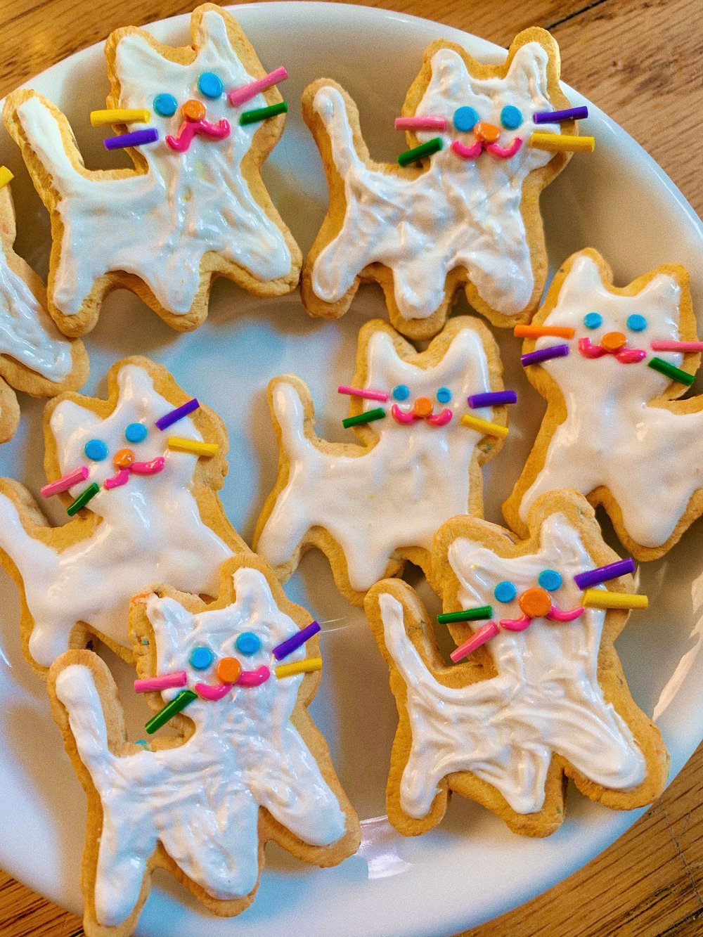 cat cookie pins