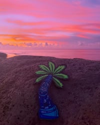 Image 2 of Hawaiian Tiki Palm 