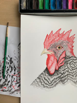 "Barred Rock Rooster" 1st edition print