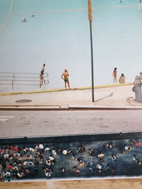 Image 4 of 'Classic Puffin Watching'
